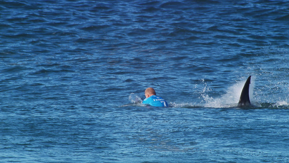 Mick Fanning no histórico encontro com um tubarão no Open J-Bay 2015.