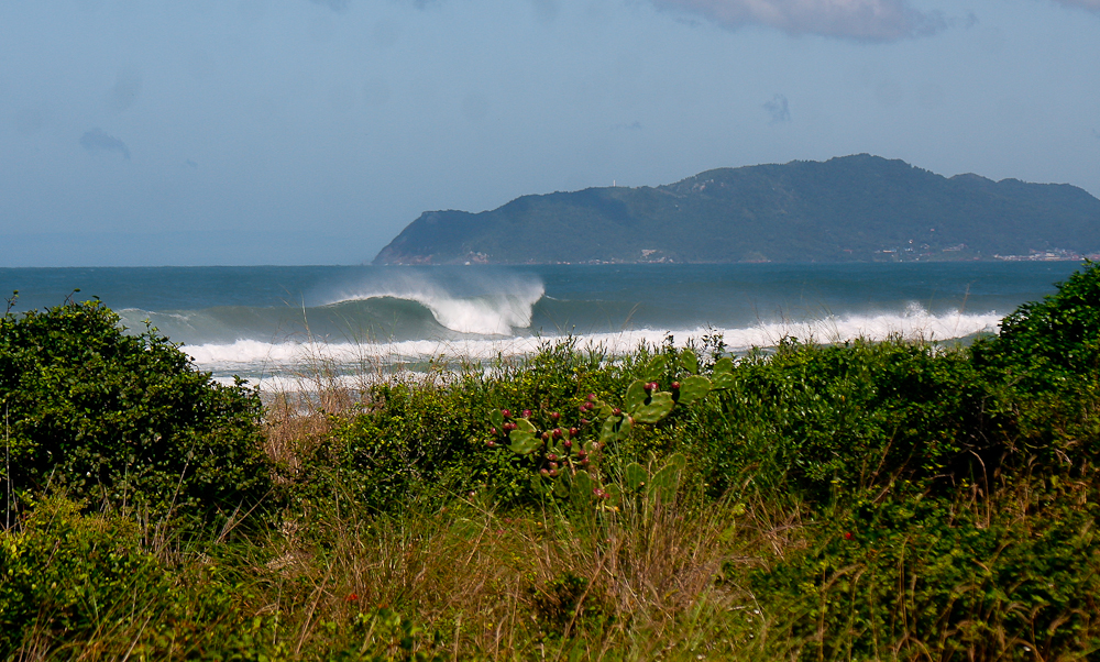 Praia de Moçambique terá restrição para a prática do surfe entre os dias 15 de maio e 15 de julho.
