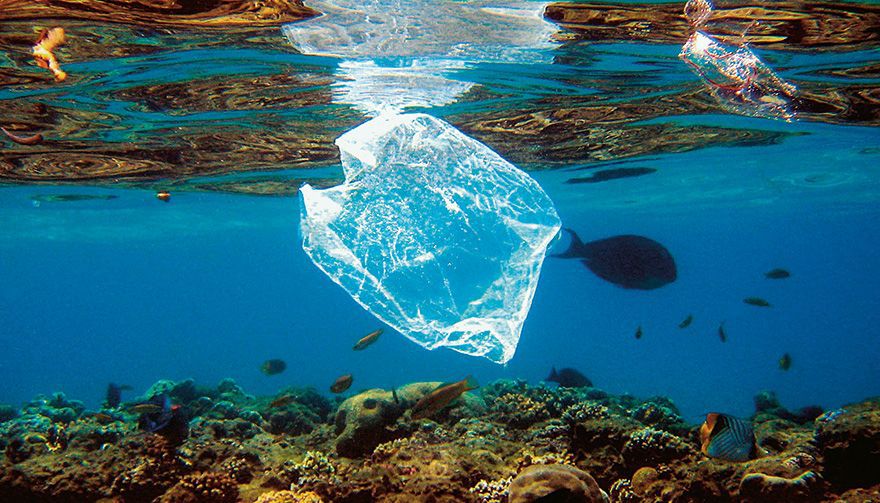 Onze milhões de toneladas de plástico são despejados no oceano anualmente.